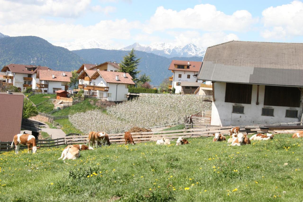 Schoetzerhof Meltina Bagian luar foto