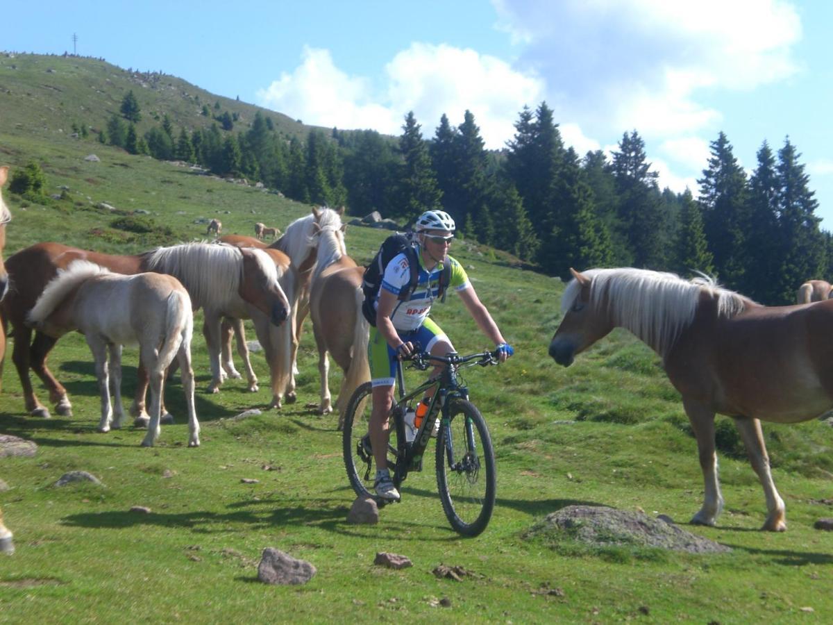 Schoetzerhof Meltina Bagian luar foto